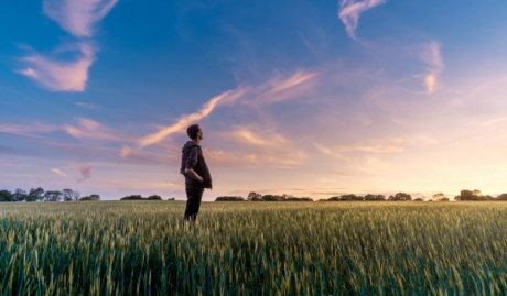 Man In Field Watching