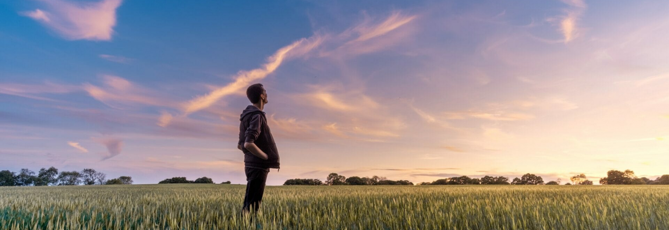 Man In Field Watching