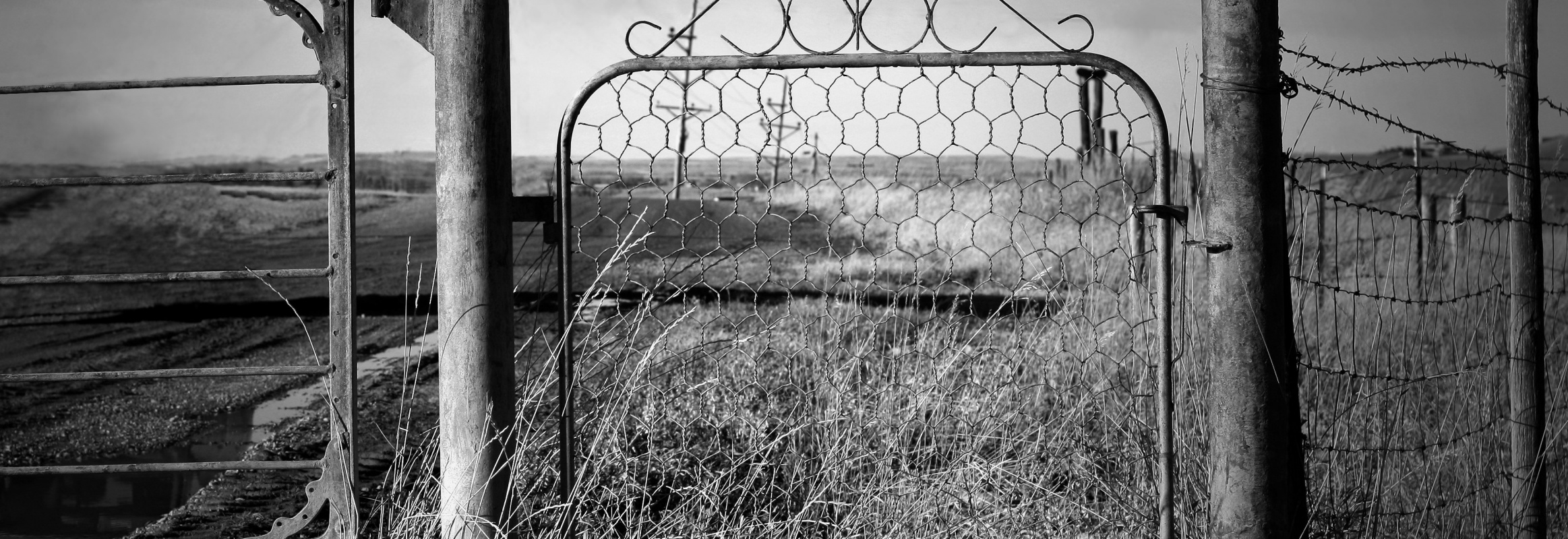 Sharon Waldron Ezoazjvdl8 Unsplash