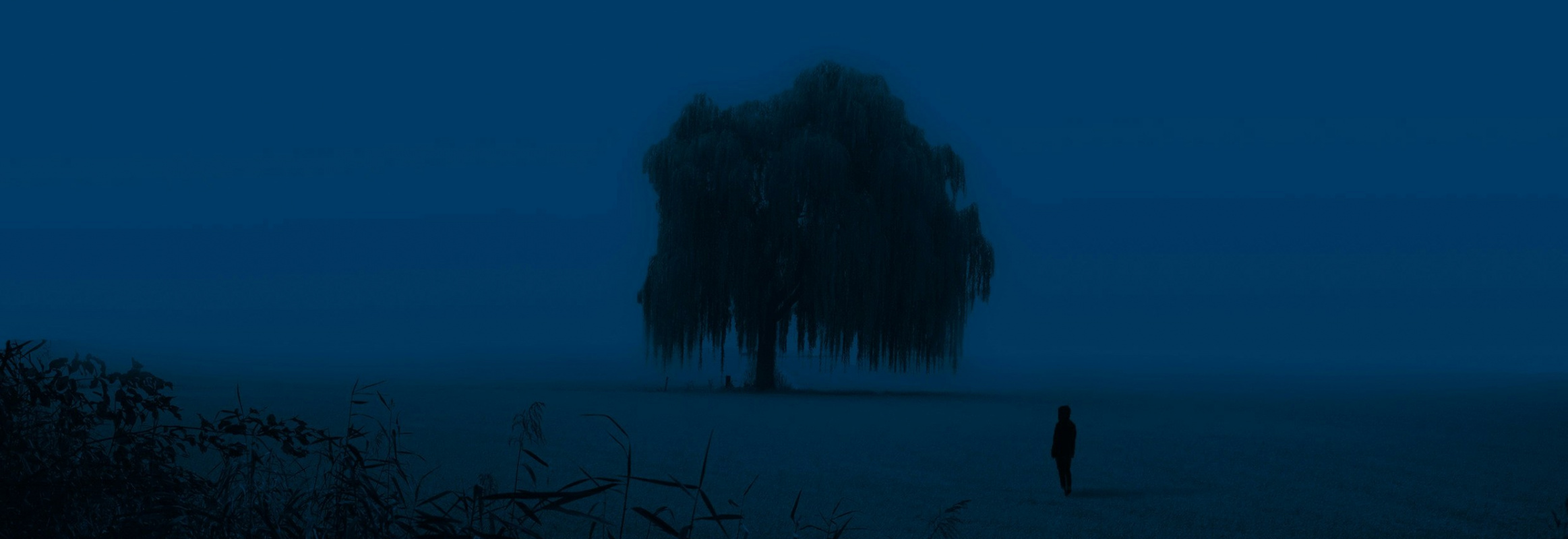 Withdarkshades L4u Qzuvggy Unsplash